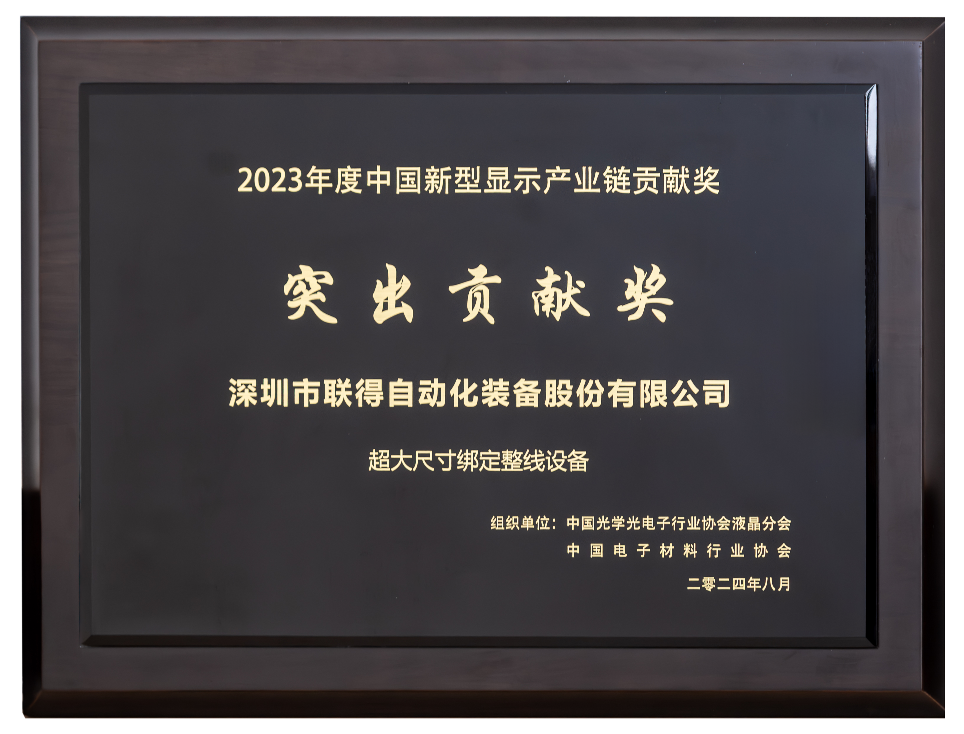 1726114203676148.png 中国新型显示产业链贡献奖-突出贡献奖.png